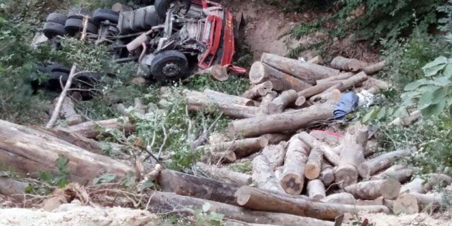 Canını Zor Kurtardı