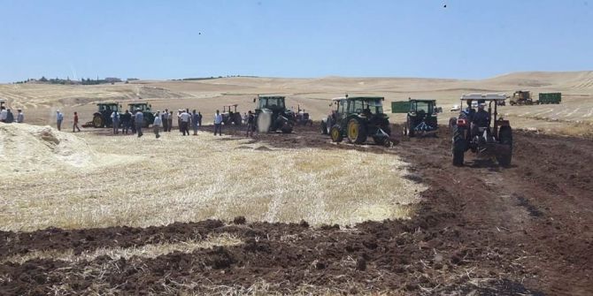 Yangında 50 Dönümlük Buğday Ve Arpa Kül Oldu