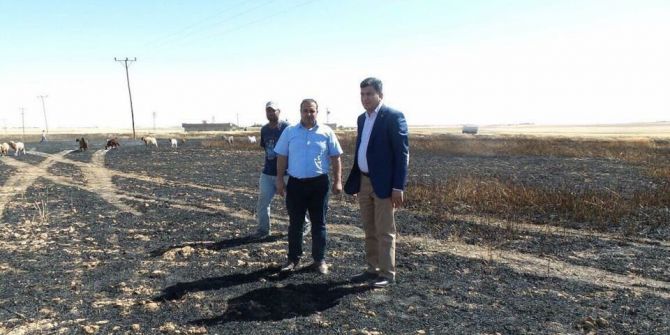 Harran’da 300 Dekar Hububat Ekili Alan Yandı