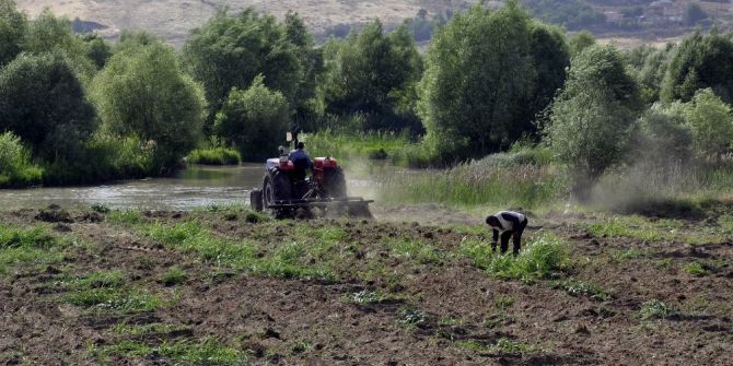 Diyarbakır Karpuzu Artık Festivaller İçin Üretiliyor