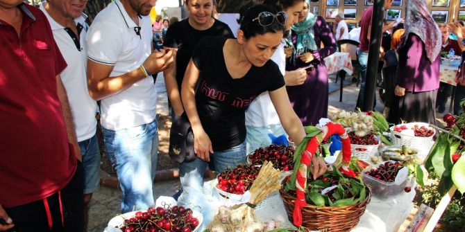 Ula’da 2. Sarımsak Ve Kiraz Şenliği