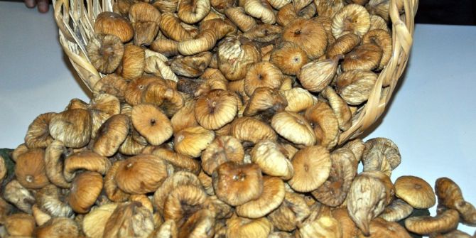 Başkan Ülken: “Er Ya Da Geç İncire Destek Verilecek”