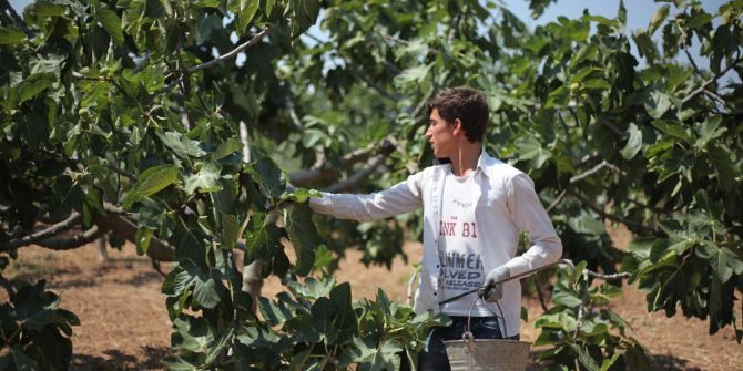 Bursa Siyah İnciri Dünyaya Açılıyor