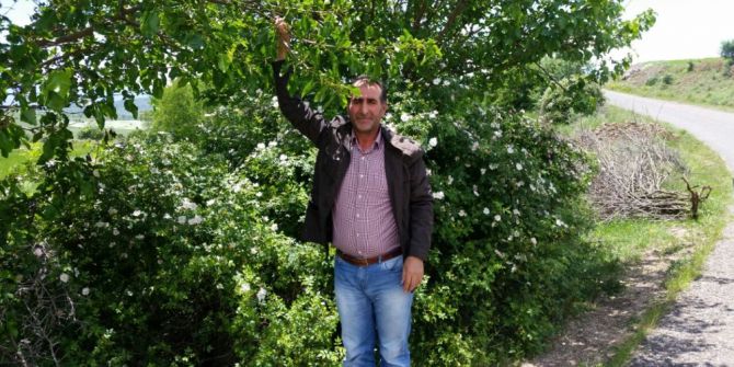 Üreticiyi Ceviz Üzdü, Dut Güldürecek