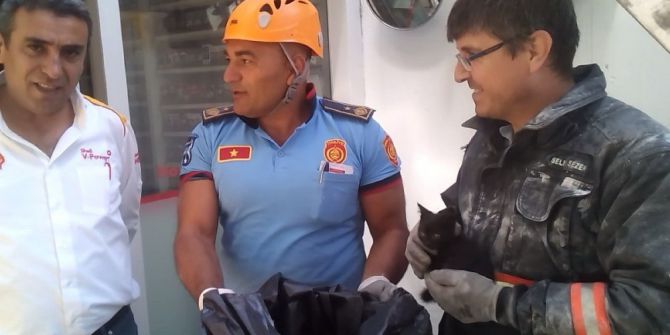 Başkent’te Kedi Kurtarma Operasyonu