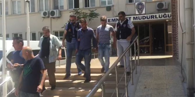 Vites Kutusundan Bonzai Çıktı