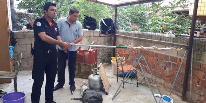 Denizli’yi Yılan Bastı