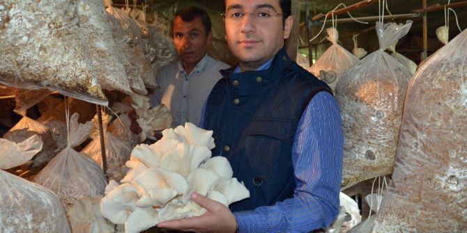 Kaymakam Özerden, Mantar Üretim Tesisini Ziyaret Etti