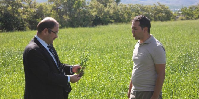 Erzincanlı Çiftçiler Yeni Yem Bitkilerinden Memnun