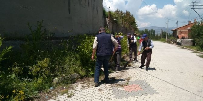 Hisarcık Belediyesinden Yabani Ot Temizliği
