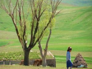Ağrı Oğlaklı Köyü