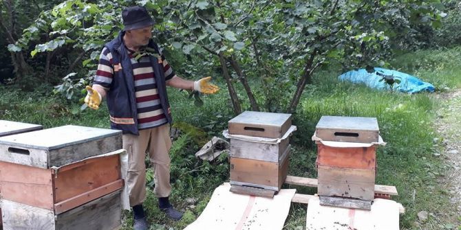 Elevli "Havalar Bir Açıp Bir Kapanınca Arılar Strese Girdi; Tek Tek Ölüyorlar"