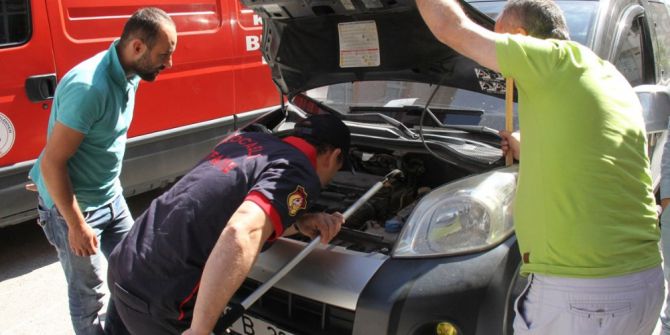 Motora Giren Kedi, Su Dökülerek Çıkartıldı