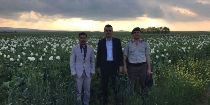 Haşhaş Üretiminde Artış Bekleniyor