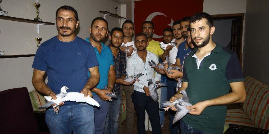 Posta Güvercinleri Yarışacak