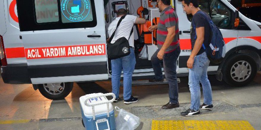 Trafik Kazasında Hayatını Kaybeden Kadın 5 Hastaya Umut Oldu