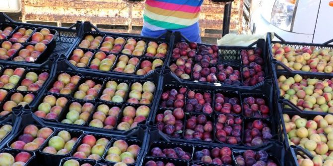 Yaz Meyveleri Yozgat’ta Tezgahları Süslüyor