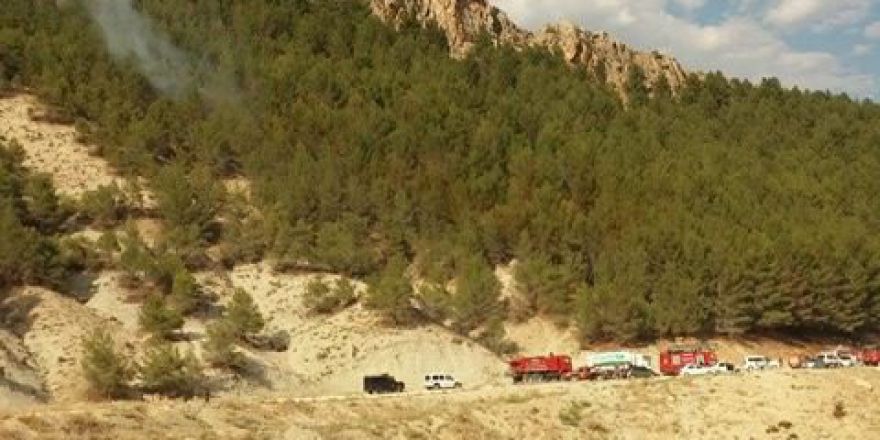 Adıyaman’da Orman Yangını