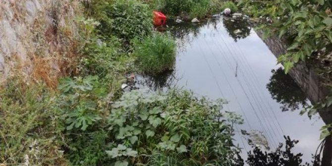 Güllük’te Sivrisinek Ve Haşereyle Mücadele