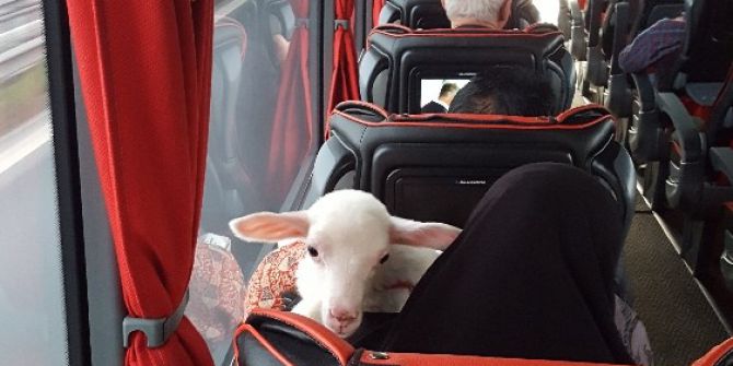 ‘#Şehrinhayatı’ Fotoğraf Yarışmasının Kazananları Belli Oldu