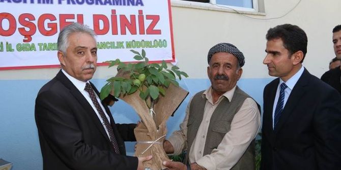 Hakkarili Çiftçilere Arılı Kovan, Ceviz Fidanı Ve Sebze Fidesi Dağıtıldı