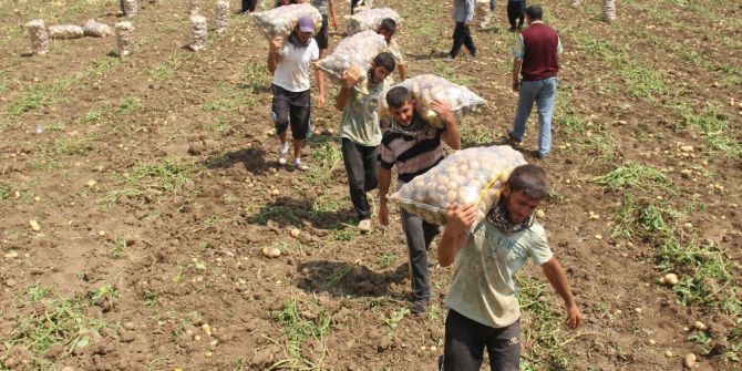 Ekmek Parası Uğruna Sabahtan Akşama Sırtta Çuval Terliyorlar