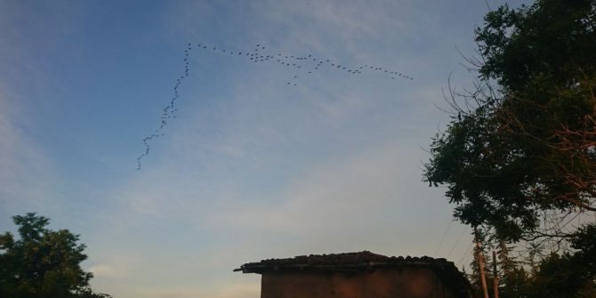 Karabatakların Akşam Dansı