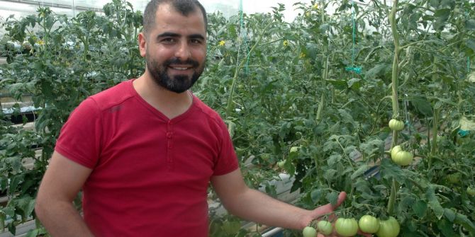 Vanlı Domates Üreticisi Eğitim Serası Kurdu