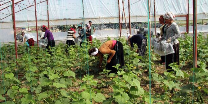 Kadın İşçilerin Ekmek Mücadelesi