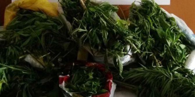 Alanya’da Uyuşturucu Operasyonu