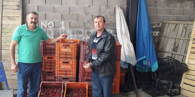 Şaphane’de Kiraz Satışları Başladı