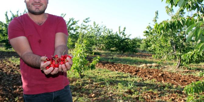 Dolu Mardin Kirazını Vurdu