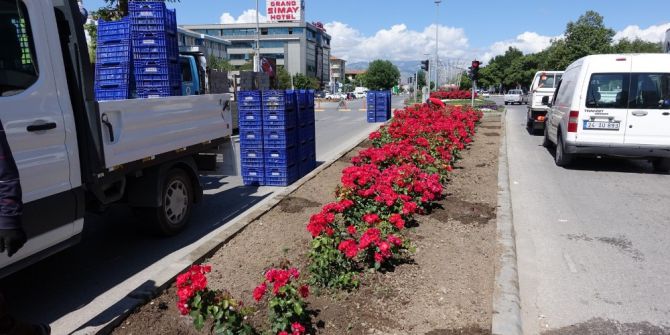Yeşil Alan Çalışmaları Devam Ediyor