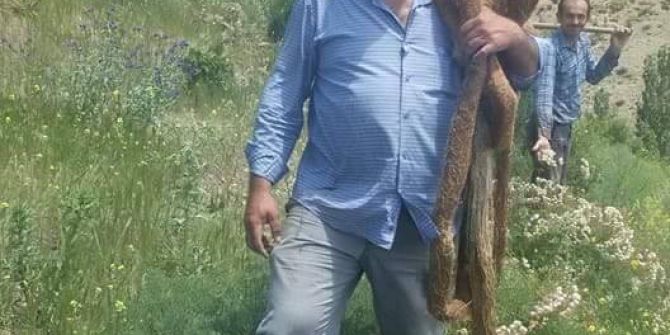 İçme Suyu Borusunun İçinden 13 Metre Söğüt Ağacı Kökü Çıktı