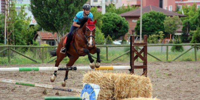 Jandarmanın Göz Bebeği Eğitimli At Ve Köpeklerin Gösterisi Büyüledi