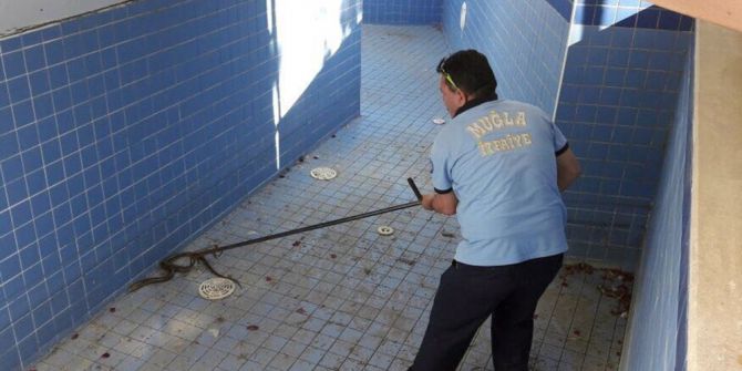 Büyükşehir İtfaiyesinden Yılan Operasyonu