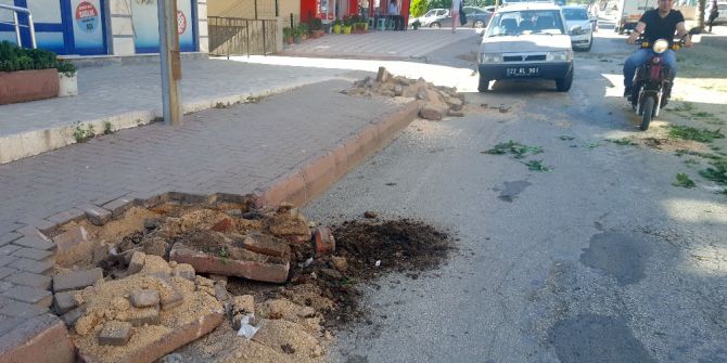 Chp’li Belediye Yol Genişletmek İçin Ağaçları Kesti