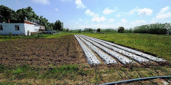 Destek Büyükşehirden Marka Çiftçiden