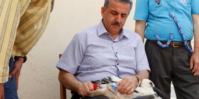 Manisa’da Leyleklere İlk Halkalama Gerçekleştirildi