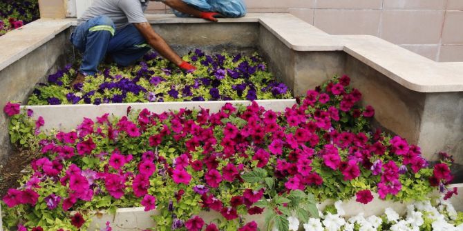 Akdeniz, Mevsimlik Çiçeklerle Rengarenk