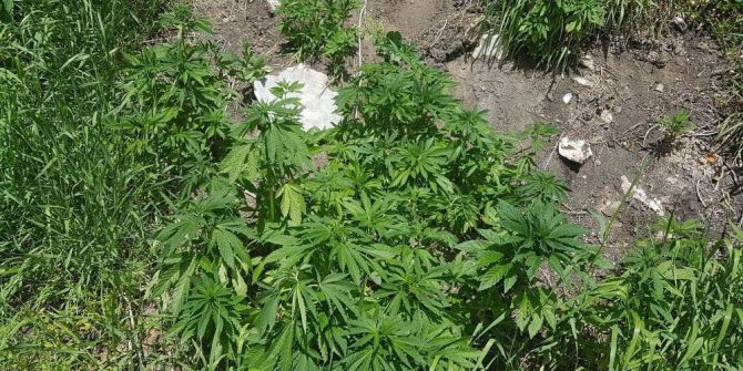 Sivas’ta Uyuşturucu Operasyonunda 3 Tutuklama