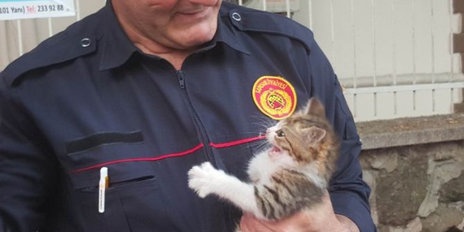 Ağaçta Mahsur Kalan Yavru Kediyi İtfaiye Kurtardı