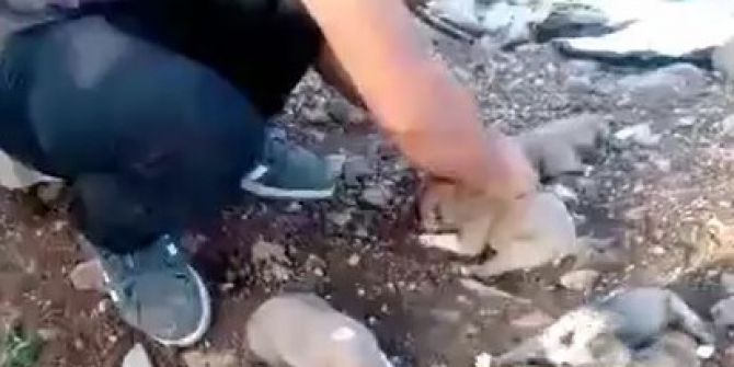 İdil’de Kan Donduran Vahşet