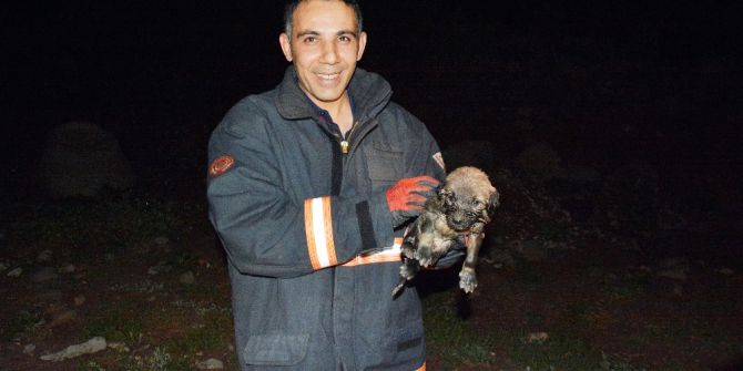 4 Metrelik Kanala Düşen Yavru Köpeği İtfaiye Kurtardı
