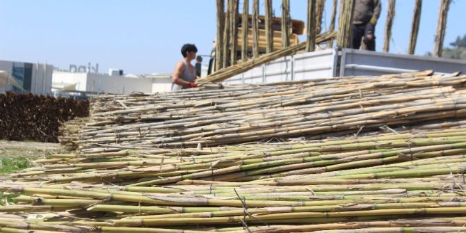 Aydın Kargısı İle De Ünlü