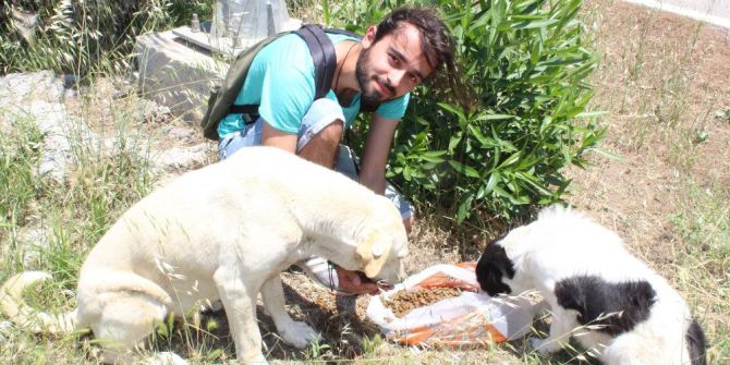 Köpek Besleyen Gençlere Saldırı Anı Kamerada