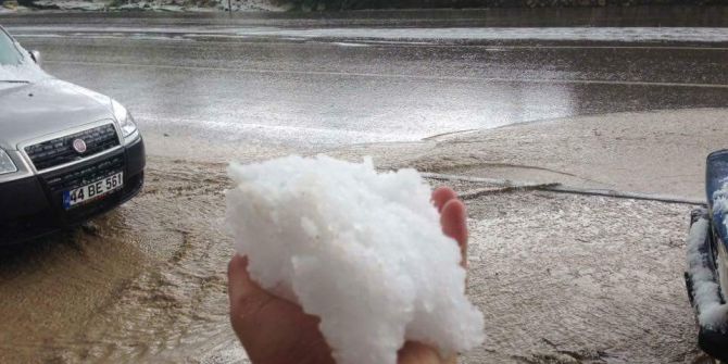 Malatya’da Kayısıyı Dolu Vurdu