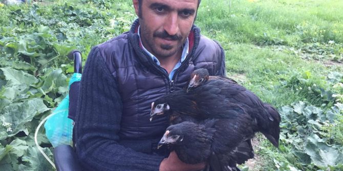 Hediye Edilen Akülü Tekerlekli Sandalye Ve Tavuklarla Hayata Yeniden Tutundu