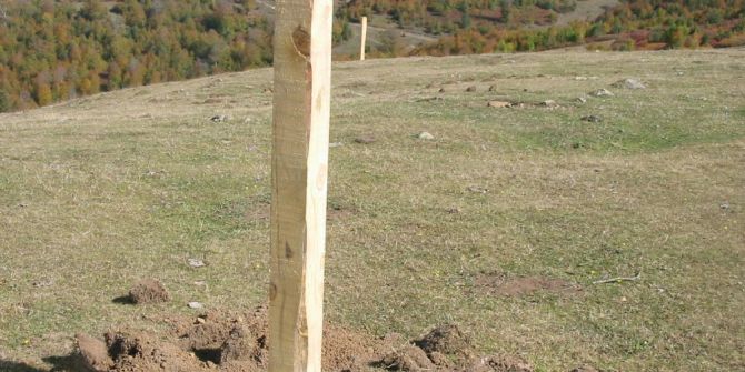 Ordu Yaylalarına 24 Adet Kaşınma Kazığı