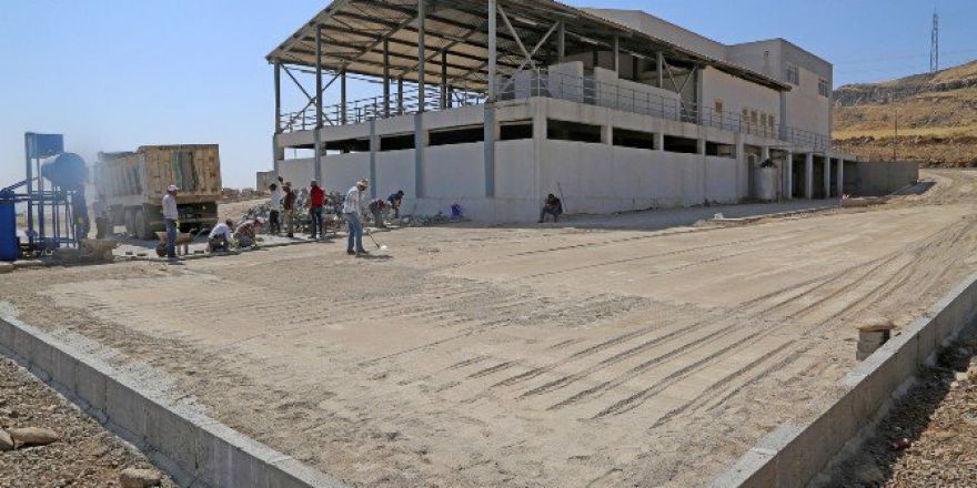 Cizre’de Yeni Mezbahana Binasında Çevre Düzenlemesi Yapıldı